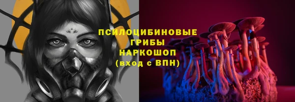 mdpv Верхний Тагил