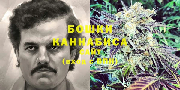 амф Бородино