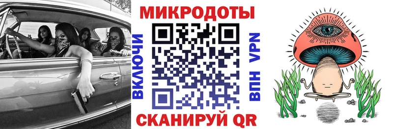 KRAKEN вход  Верхоянск  Галлюциногенные грибы Cubensis 
